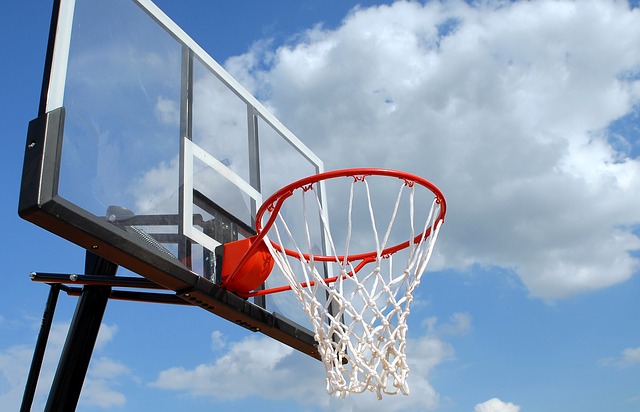 Basketball hoop support
